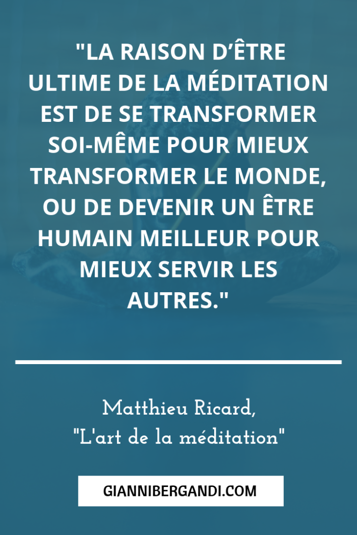 L Art De La Meditation Matthieu Ricard Fiche Pdf Gianni Bergandi